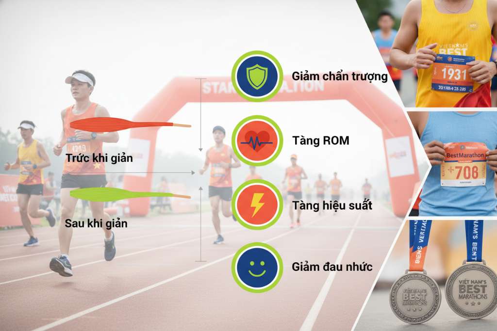 Infographic dọc trên nền trắng, bên trái là hình minh họa sợi cơ trước khi giãn (co rút, ngắn, màu đỏ cam) và sau khi giãn (dài, thư giãn, màu xanh lá). Bên phải là 5 icon tròn tương ứng 5 lợi ích: khiên bảo vệ (giảm chấn thương), mũi tên mở rộng (tăng ROM), trái tim nhịp đập (hạ nhịp tim), tia chớp (tăng hiệu suất), mặt cười (giảm đau nhức). Phong cách flat design, tông xanh dương và cam san hô.